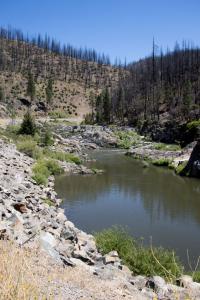 Yuba River