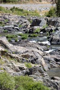 Yuba River