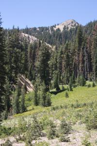 Lassen National Park