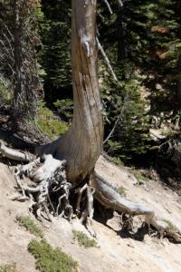 Lassen National Park