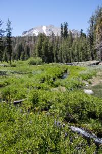 Lassen National Park