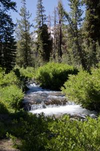 Lassen National Park