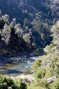 Random river on the way to the Redwoods