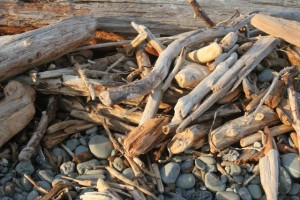 Beach Debris