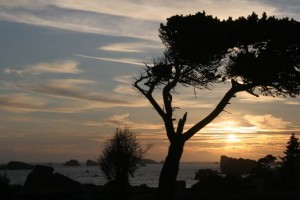 Sunset, Crescent City, CA