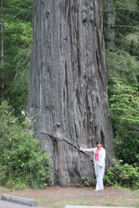 Marion and Redwood Tree