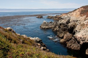 Garrapata Creek meets the sea