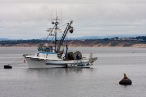 Fisherman's Wharf