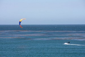 Kite surfer off Carmel Beach