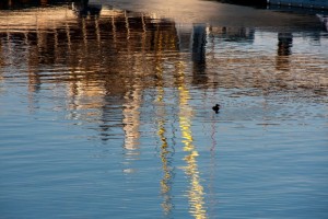 Monterey harbor