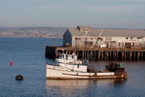 Monterey harbor