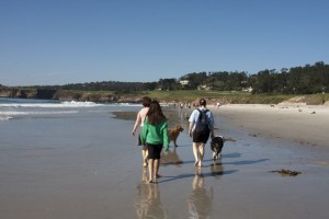 Carmel Beach