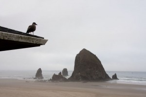 Cannon Beach - Sept 2015