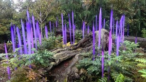 Chihuly Garden - 2015