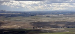 View from Steptoe Butte