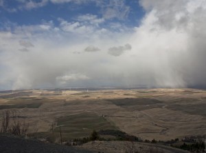 View from Steptoe Butte