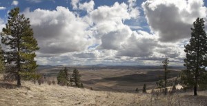 Kamiak Butte County Park