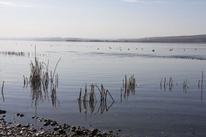 Columbia River, Boardman