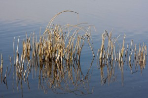 Columbia River, Boardman