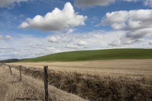 The Palouse