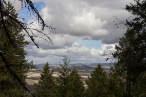 Kamiak Butte County Park