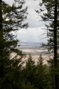 Kamiak Butte County Park