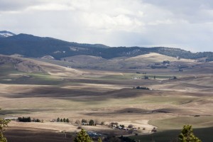 View from Steptoe Butte