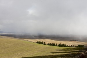 Below Steptoe Butte