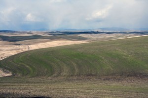 Below Steptoe Butte