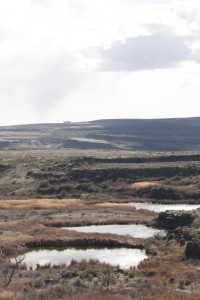 Columbia National Wildlife Refuge