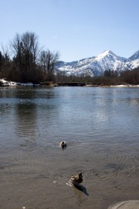 Wenatchee River