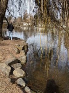 Bart at Manito Park (MAK)