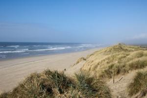 The dunes without Marion