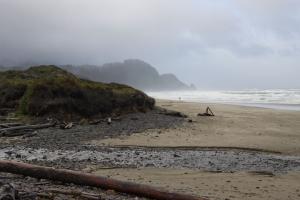 Oregon coast