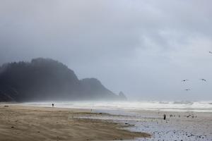 Oregon coast