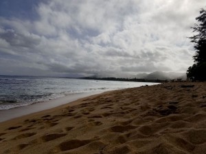 The beach in front of the hotel