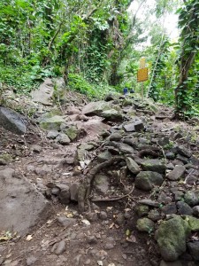 The Na Pali "trail" headed up