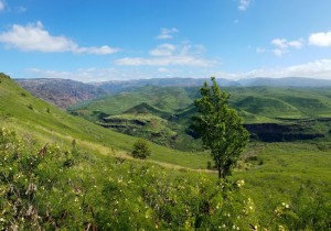 Waimea Canyon