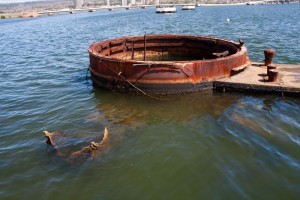 USS Arizona