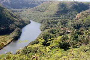 Wailua River