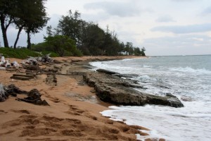 Kapaa coast