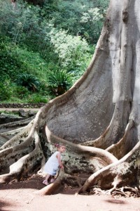 Jurassic Park trees