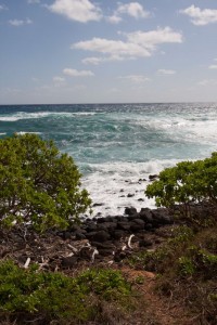 View from the Kapaa Trail