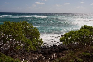 View from the Kapaa trail