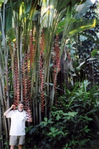 Bart at the Botanical Gardens