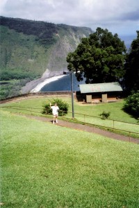 Bart at the Waipio lookout 