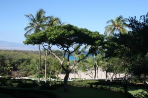 The hotel grounds and beach