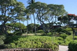 Muana Kea Beach Hotel grounds