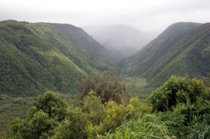 Pololu Valley