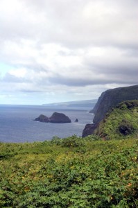 Coast near Pololu Valley 